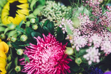 Vahşi yaz çiçekleri çiçekli arka plan