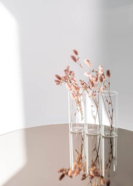 Tavşan Kuyruğu Çimeni Kurumuş Çiçek Buketi 'nin yaratıcı bileşimi. Karanlık yüzeyde yansıması var. Minimalist kompozisyon. Romantik, doğa geçmişi. seçici odak