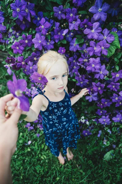 Портрет Милої Красивої Блондинки Фоні Фіолетових Квітів — стокове фото