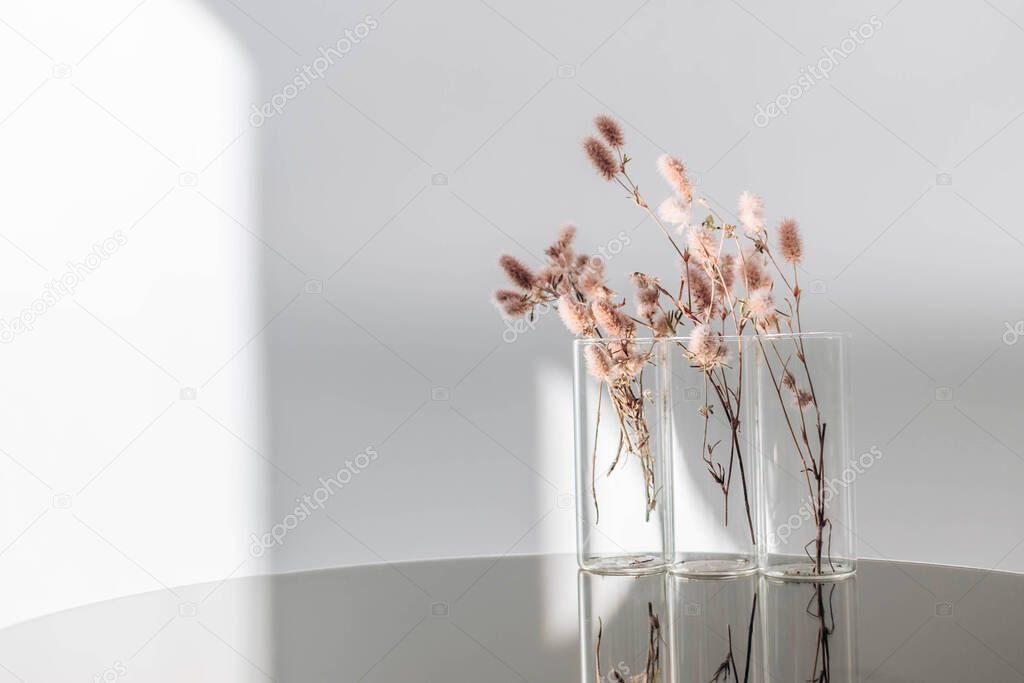 Creative composition of Rabbit Tail Grass Dried Flowers Bouquet on dark surface with reflection. Minimalistic composition. Romantic, nature background. selective focus
