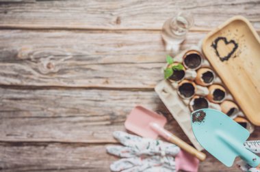 Çevre dostu bahar filizleri. Yumurta kabukları, eko bahçıvanlığı, yeniden kullanım, eko yeşil sürdürülebilir yaşam konsepti, plastiksiz, sıfır atık konsepti.  