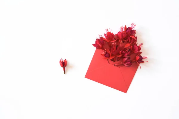 Opened Red Envelope Red Flowers White Background Copy Space Top — Stock Photo, Image