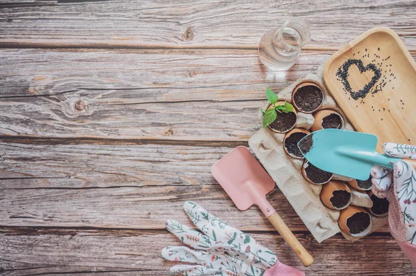 Çevre dostu bahar filizleri. Yumurta kabukları, eko bahçıvanlığı, yeniden kullanım, eko yeşil sürdürülebilir yaşam konsepti, plastiksiz, sıfır atık konsepti.  