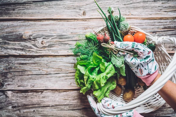 Bio Gemüse Rettich Frühlingszwiebeln Salat Tomaten Und Gurken Einem Hölzernen — Stockfoto