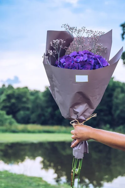 Hand Holding Bouquet Purple Hortensia Flowers — Stock Photo, Image