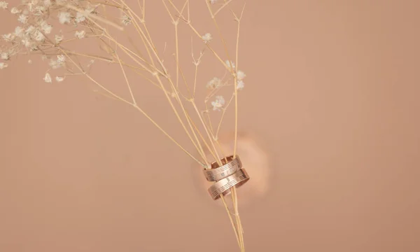 Szárított Virágok Két Arany Gyűrű Bézs Háttérrel Fénymásoló Felülnézetben Felkészülés — Stock Fotó