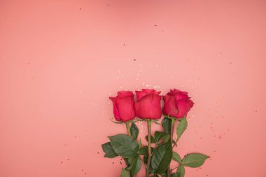 Kırmızı güller, pembe arka planda bir buket gül. Sevgililer Günü ve 8 Mart için hediye. Güller