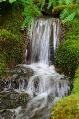 Mini Şelale yağmur ormanları kayalıklardan akıyor.