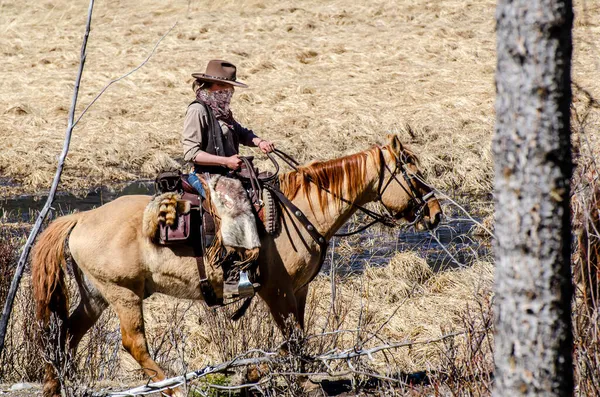 Cowgirl Med Ansiktsmask Och Cowboyhatt Rider Häst Bredvid Bäck Äng — Stockfoto