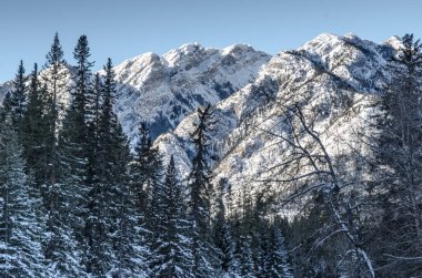 Rocky Dağları - Banff Ulusal Parkı