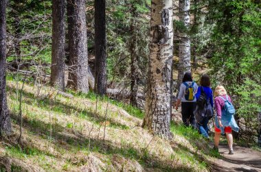 Orman yolunda yürüyen üç orta yaşlı kadın.