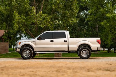 Gümüş renkli bir Ford F-150 pikap profili