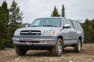 Bir Toyota tundrası çam ağacı ormanındaki bir kamp alanına park etmiş.