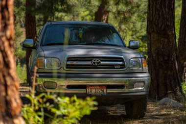 Toyota tundra truck at a campsite in the morning surrounded by trees