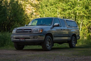 A toyota tundra at a campsite in a pine forest