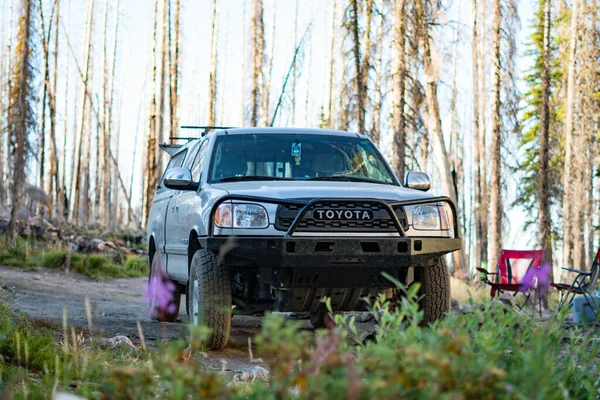 Road Toyota Tundra Pickup Truck Forest Campsite — ストック写真