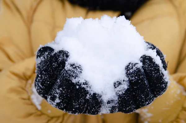 Women Hands Black Gloves Hold Lot Snow Taken Close — стоковое фото