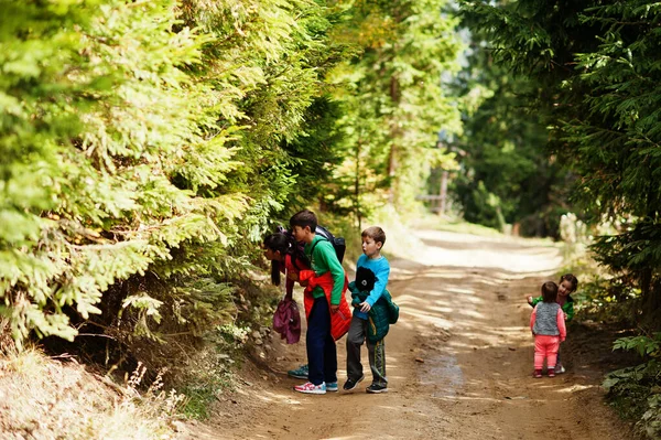 Encontramos Hongo Madre Con Cuatro Hijos Descansando Las Montañas Viajes — Foto de Stock