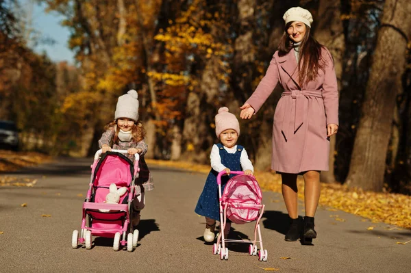 Mother Two Baby Daughters Stroller Walking Autumn Park — Stock Photo, Image