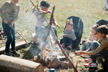 Dağda aile şenliği ateşi. Kızarmış sosis. Anne ve dört çocuğu kamp yapıyor. Sonbahar yürüyüşü ve kamp havası. Ateşin yanında ısınmak ve yemek pişirmek. 