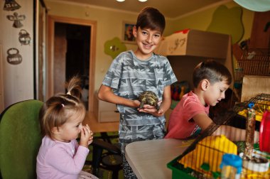 En sevdikleri evcil hayvanlarını ellerinde tutan dört çocuk. Çocuklar evde hamster, kaplumbağa ve papağanla oynuyorlar..