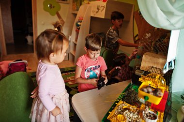 En sevdikleri evcil hayvanlarını ellerinde tutan dört çocuk. Çocuklar evde hamster, kaplumbağa ve papağanla oynuyorlar..