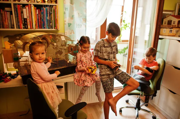 Négy Gyerek Fogja Kedvenc Háziállatát Gyerekek Játszanak Hörcsög Teknős Papagáj — Stock Fotó