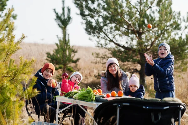 Ibu Yang Ceria Dengan Anak Anak Piknik Keluarga Berlibur Dengan — Stok Foto