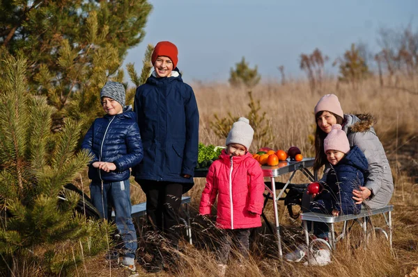 快乐的母亲带着孩子去野餐 户外活动水果的家庭 — 图库照片