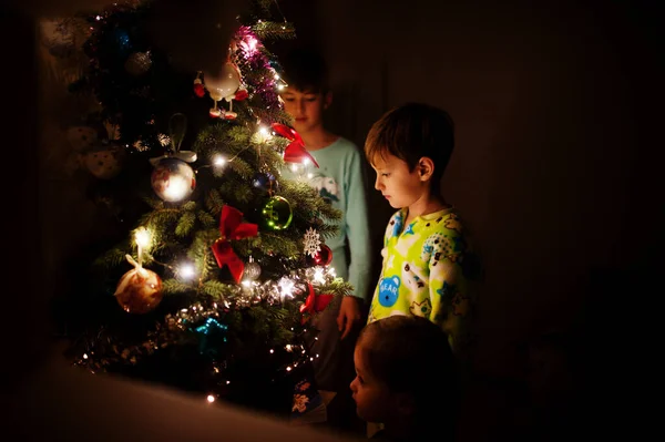 Enfants Regardant Arbre Noël Avec Des Guirlandes Brillantes Sur Maison — Photo