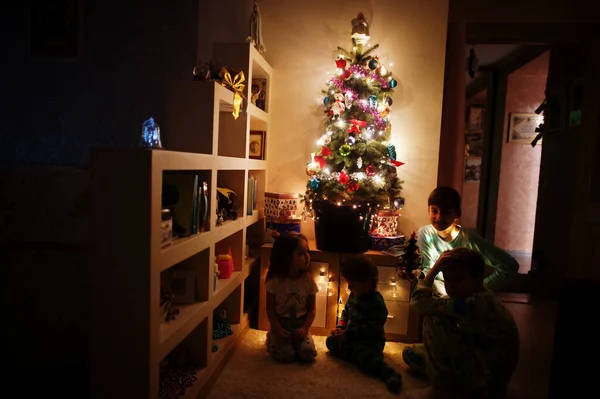 Enfants Regardant Arbre Noël Avec Des Guirlandes Brillantes Sur Maison — Photo