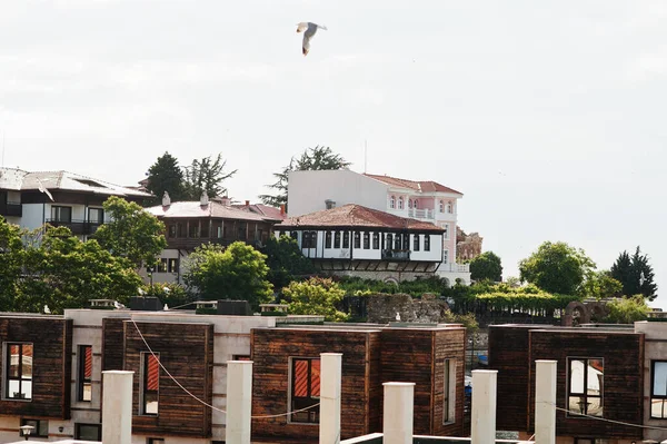 Flying Seagull Nesebar Old Port Town — стоковое фото