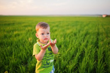 Akşamları yeşil çayırlarda tatlı bir çocuk..