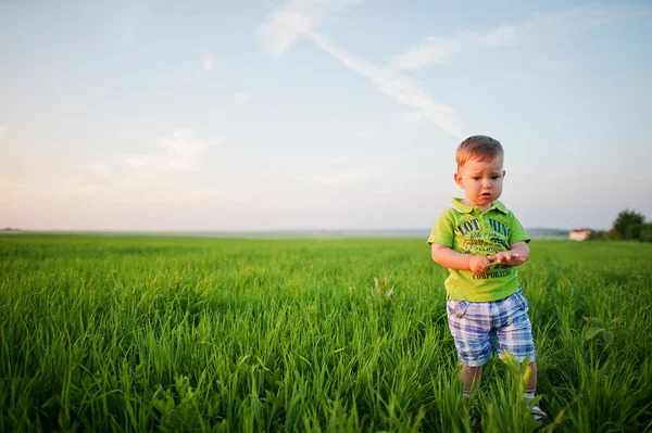Akşamları yeşil çayırlarda tatlı bir çocuk..