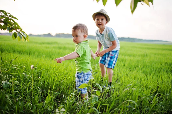 Two Brothers Walking Holding Hands Green Field Brother Love — Stock Photo, Image