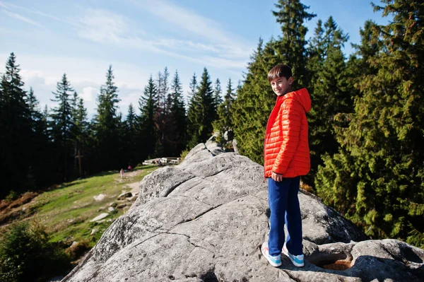 男孩在山顶上 孩子们在美丽的山中登山 在岩石上休息 欣赏壮观的风景峰顶 与孩子一起积极享受家庭假期 户外运动快乐健康 — 图库照片