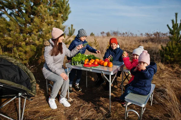 ピクニックで子供たちと陽気な母親 果物の屋外で休暇中の家族 — ストック写真