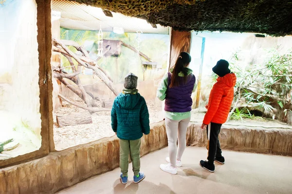Mère Avec Des Enfants Découvrant Observant Des Animaux Zoo — Photo