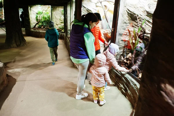 Мати Чотирма Дітьми Виявляє Дивиться Тварини Зоопарку — стокове фото