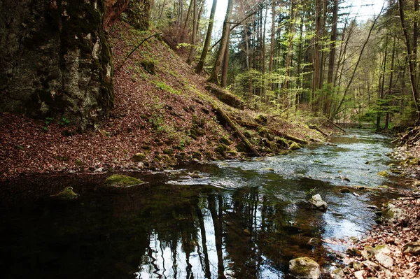 Río Desde Cuevas Punkva Karst Moravia República Checa — Foto de Stock