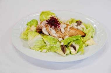 View on white background of salad with meat. Healthy food, diet lunch concept. 