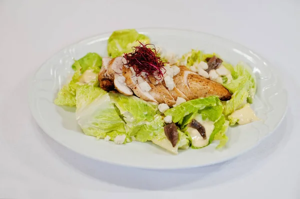 View White Background Salad Meat Healthy Food Diet Lunch Concept — 스톡 사진