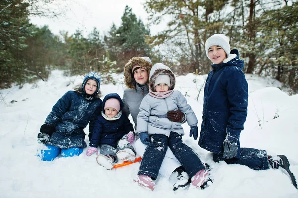 Μητέρα Τέσσερα Παιδιά Στη Χειμερινή Φύση Εξωτερικές Πόρτες Στο Χιόνι — Φωτογραφία Αρχείου