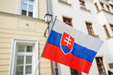 Slovakya bayrağı Bratislava caddesine karşı.
