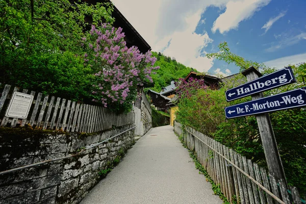 Hallstatt Salzkammergut Avusturya Tahta Çitli Yol — Stok fotoğraf