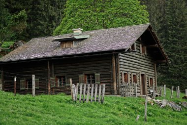 Vorderer Gosausee 'deki ahşap dağ evi, Gosau, Yukarı Avusturya.