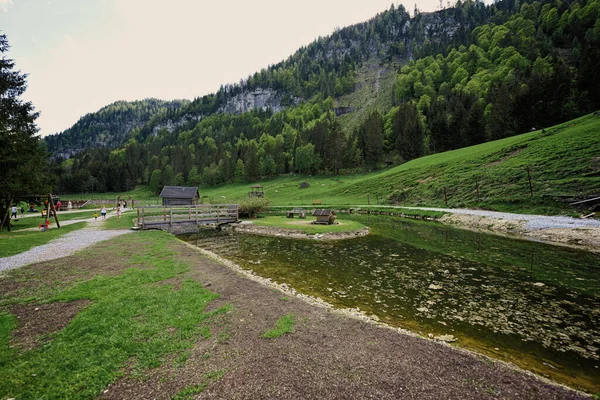 Λίμνη Και Ξύλινη Γέφυρα Στο Wildpark Untertauern Αυστρία — Φωτογραφία Αρχείου