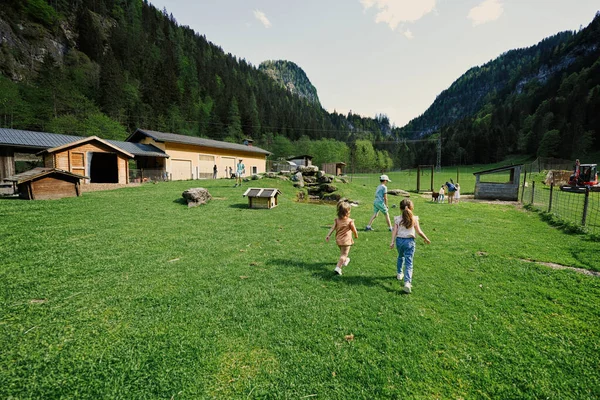 Enfants Jouant Avec Des Animaux Domestiques Untertauern Wildpark Autriche — Photo