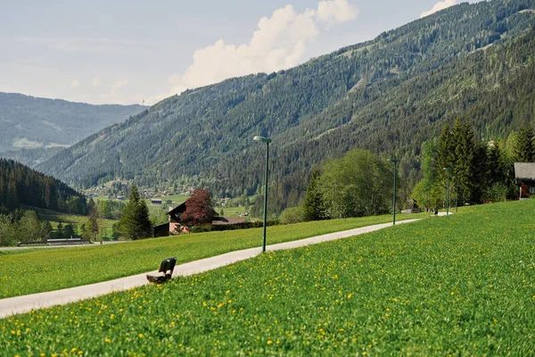 Alpine Path Meadow Untertauern Austria — Stock Photo, Image