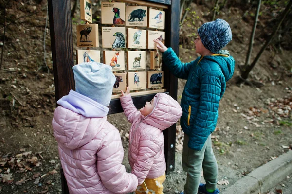 Les Enfants Apprennent Les Oiseaux Dans Bureau Bois Zoo — Photo